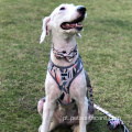 Arreio para cães Desgner Arreio para cães ecologicamente correto